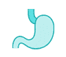 Stomach